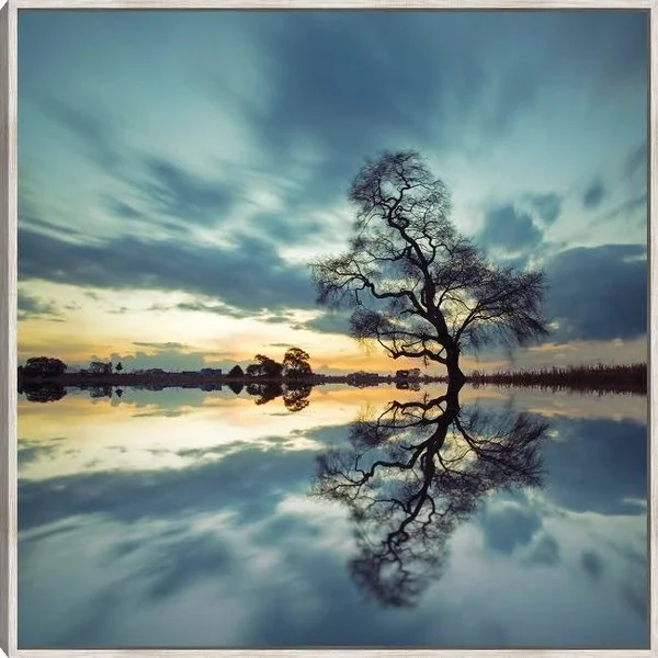 Arbol Solitario en Temoaya Color Reflect Framed Canvas Prints by Moises Levy 22X22 Barnwood Fineartcanvas