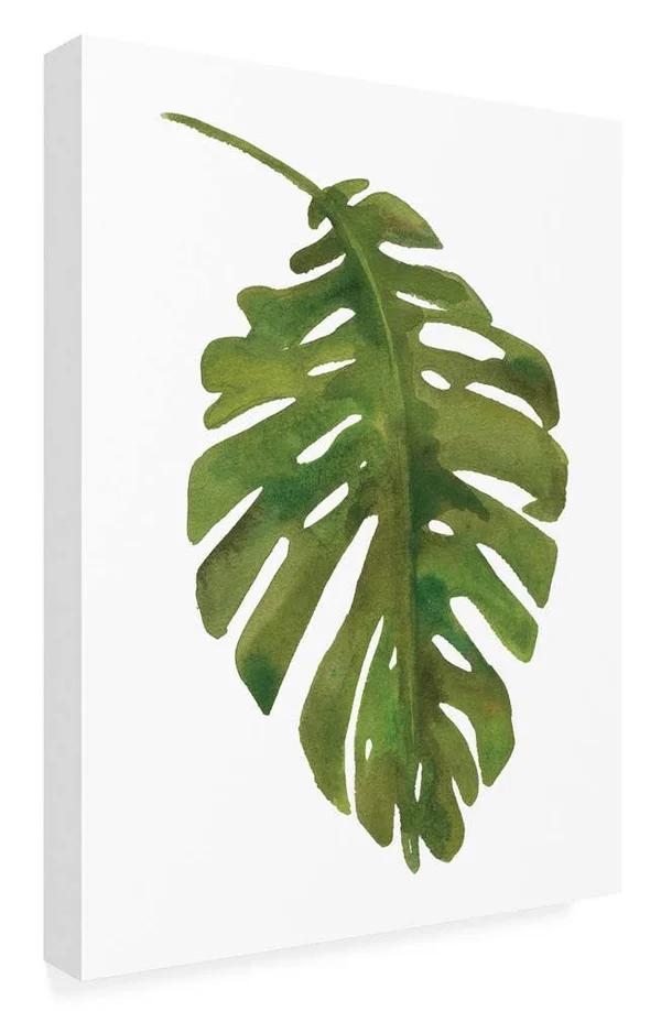 Trademark Art Wild Apple Portfolio 'Tropical Palm Paint' Canvas Art