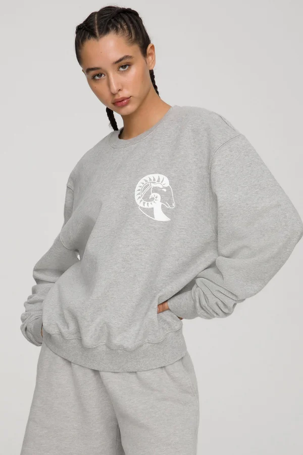 Women's Aries Boyfriend Sweatshirt Size 2, Good American