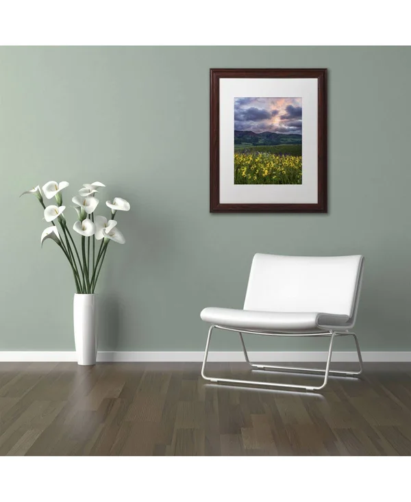 Trademark Art &Awakening& by Michael Blanchette Framed Photographic Print Size: 14x22 H x 11x22 W x 0.5x22 D - Matte Color: White