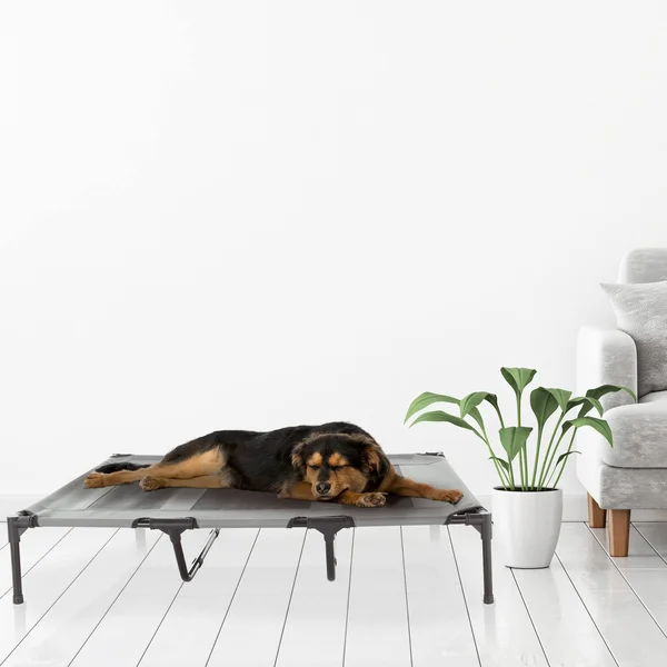 Pet Pal Gray Rectangular Bed (FOR Large) Rubber, 532169MPL
