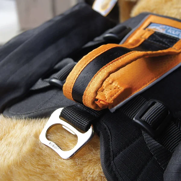 Kurgo Big Baxter Dog Backpack - Black/Orange