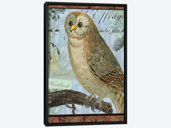 Framed Canvas Art - Enchanted Woodland by Sue Schlabach ( Animal Art > Birds > Owls art)