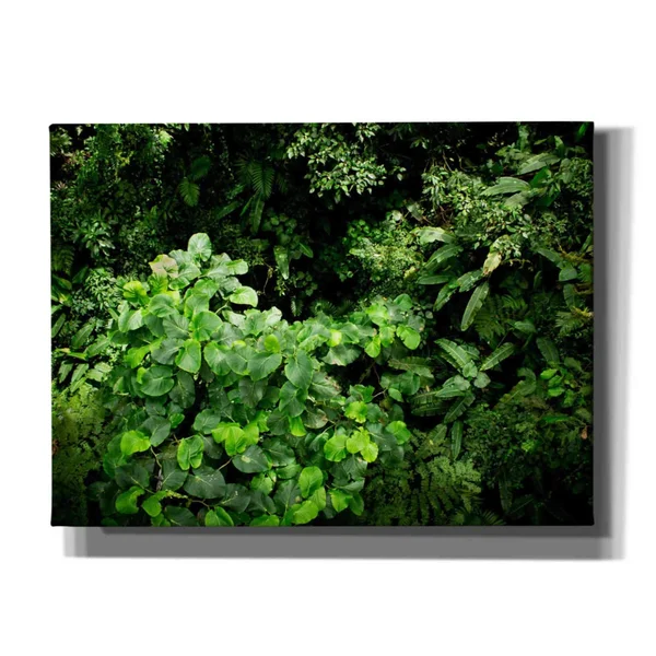 Cortesi Home 'Rainforest Canopy' by Nicklas Gustafsson Canvas Wall Art, 16 inchx12 inch, Size: 16 x 12, Green