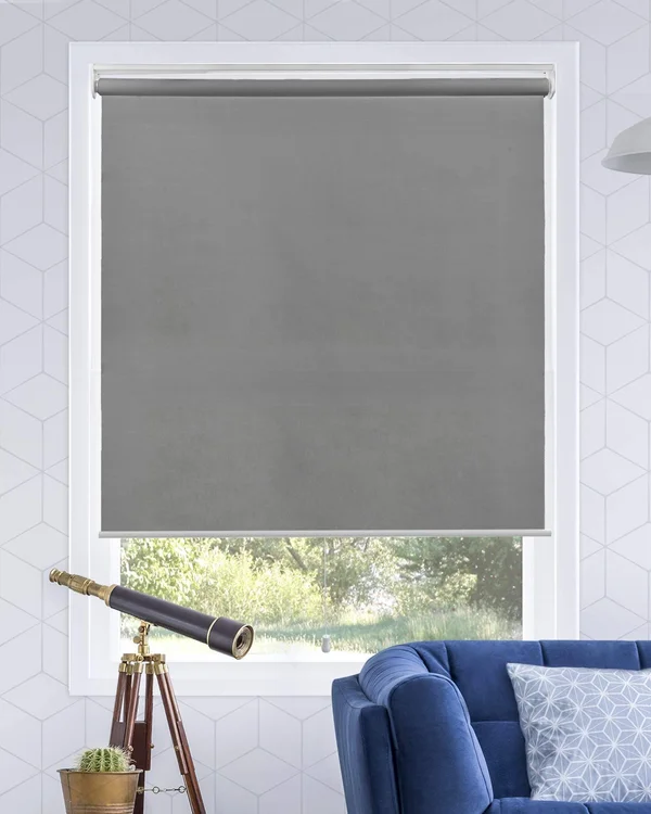 Chicology Light Filtering Cordless Roller Shades - 56