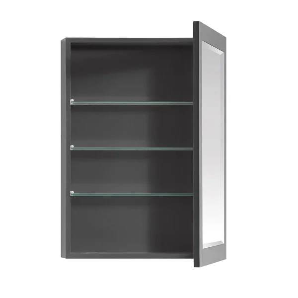 Avanity 170512-MC22-TGG Allie-Austen 22 inch Mirror Cabinet for in Twilight Gray with Gold Trim