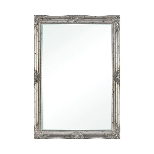 Elk Home 6100-064 Williamsburg Mirror in Antique Silver