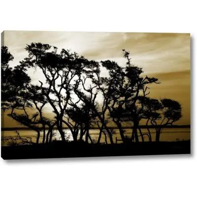 &Blissful Shore II& by Alan Hausenflock Giclee Art Print on Wrapped Canvas World Menagerie Size: 11x22 H x 16x22 W x 1.5x22 D