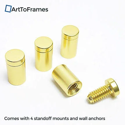 20x28 Acrylic Floating Frame for Pictures and Art with Gold Standoff (Full Frame Is 24x32)