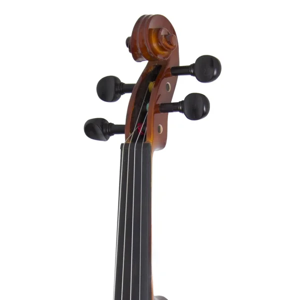Cecilio CVN-300 Solidwood Ebony Fitted Violin with D&Addario Prelude Strings, Size 4/4 (Full Size)