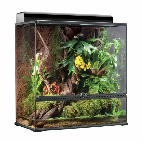 Exo Terra High Glass Terrarium 36 by 18 by 36-Inch