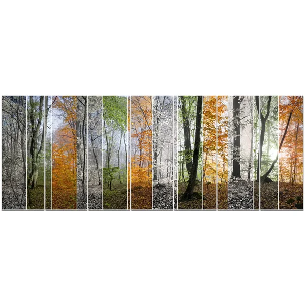 Design Art &Wood Panorama Changing Seasons& 6 Piece Photographic Print Set on Canvas - Orange