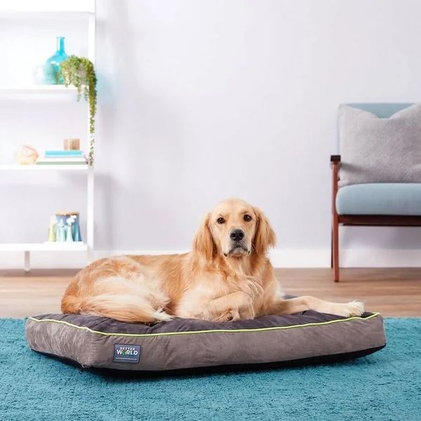 Better World Pets Orthopedic Pillow Dog Bed w/Removable COVER - Rave Green, Medium