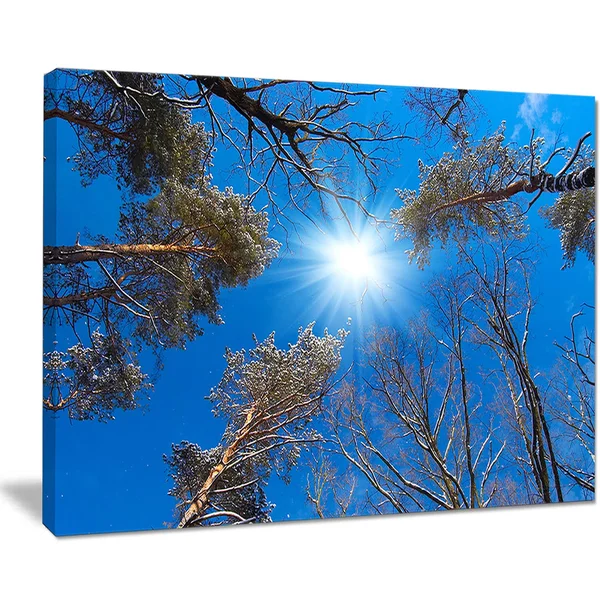 Design Art Bright Sun in The Tree Top Circle - Modern Forest Canvas Wall Art - Blue, 40 in. Wide x 30 in. High