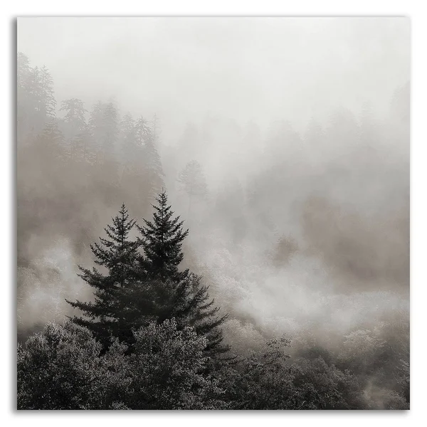 Tangletown Fine Art Rising Mist, Smoky Mountains by Nicholas Bell, Print on Canvas, Ready to Hang