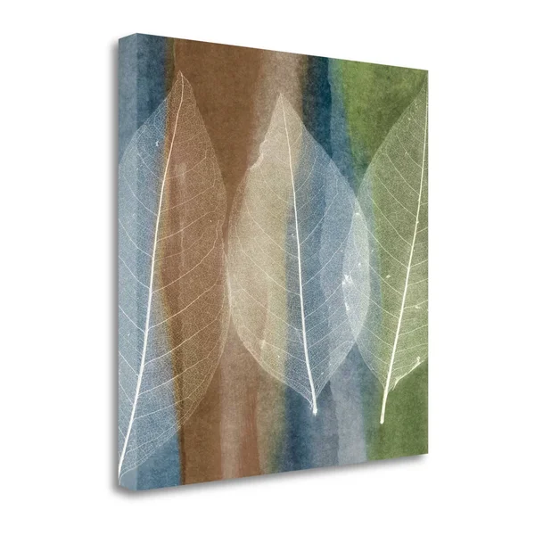 25x22 x 25x22 Leaf Structure II by John Rehner Fine Art Giclee Print