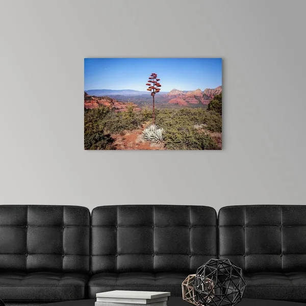 Agave Americana Flowering Stalk - Sedona, Arizona, Canvas Wall Art, 30x20, Great Big Canvas