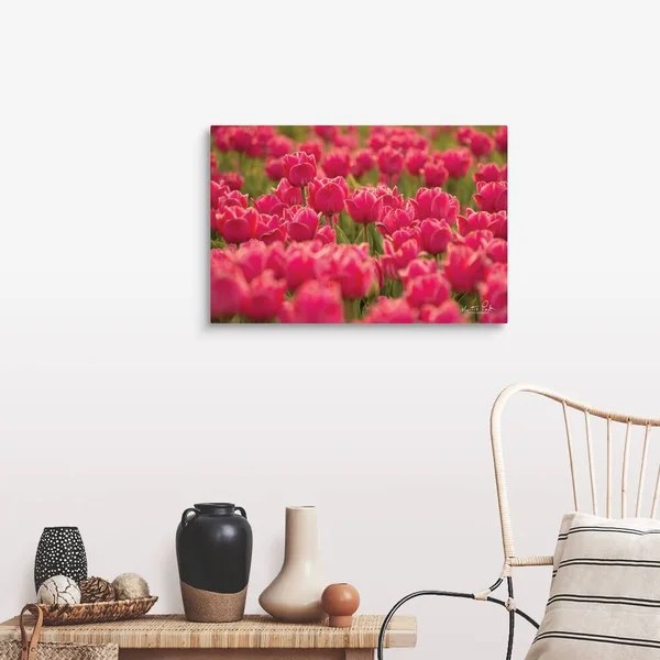 Pretty Pink Tulips - Canvas Wall Art, 30x20, Great Big Canvas