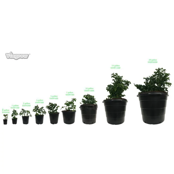 Viagrow 10 gal. Round Plastic Nursery Pots with Saucers (10-Pack)