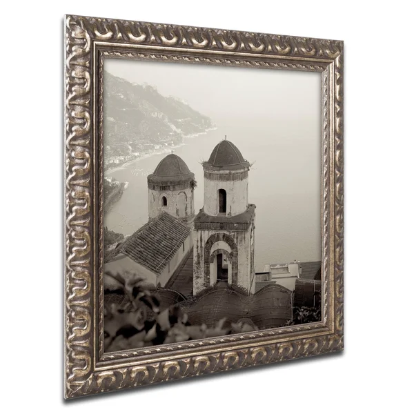Trademark Art Alan Blaustein 'Campagnia III' Ornate Framed Art