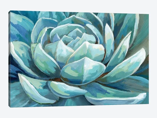 Nan Canvas Wall Decor Prints - Cerulean Succulent ( Floral & Botanical > Flowers art)