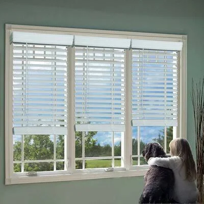 Room Darkening Horizontal Blind Dezario Blind Size: 37.5x22W x 48x22L - Finish: White