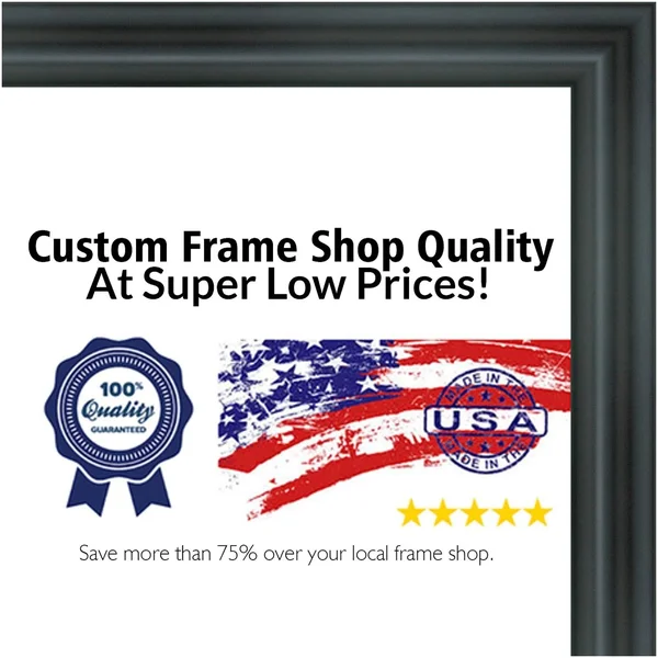 14x24 - 14 x 24 Swoop Black Solid Wood Frame with UV Framer's Acrylic