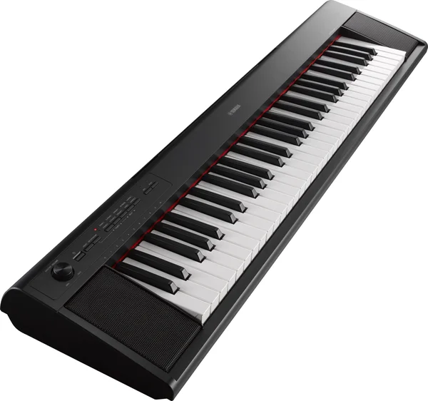 Yamaha Piaggero NP12 61-Key Portable Keyboard, Black