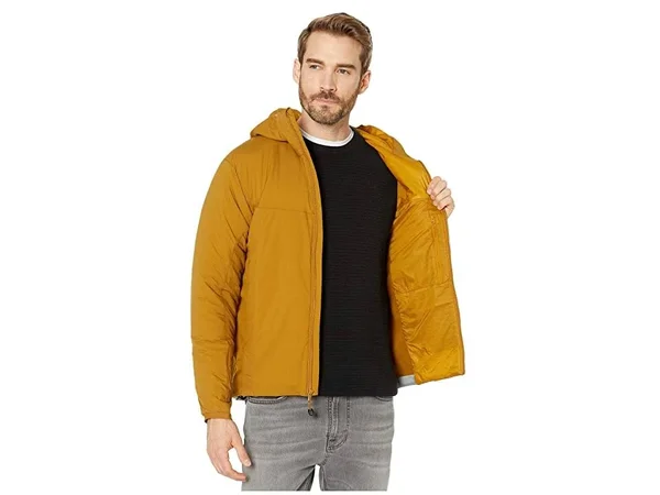 Arc&teryx Atom LT Hoody - Men's