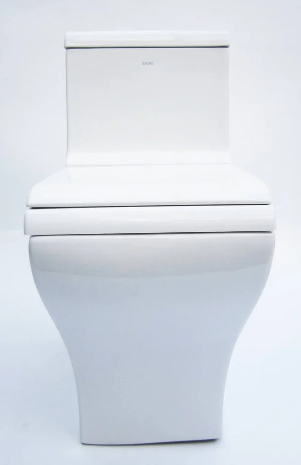Eago TB356 Dual Flush One Piece Eco-Friendly High Efficiency Low Flush Ceramic Toilet