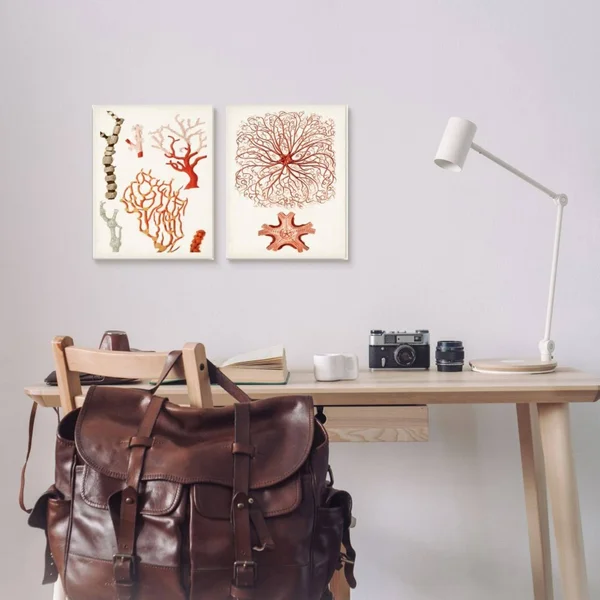 Collage of Unique Ocean Coral Red Brown - 2 Piece Graphic Art Print Set Stupell Industries Format: Gray Framed - Size: 14x22 H x