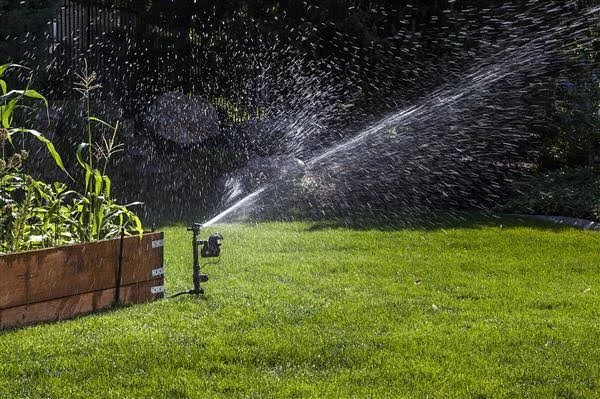 Orbit 62000 Enforcer Motion Activated Pest Deterrent Sprinkler