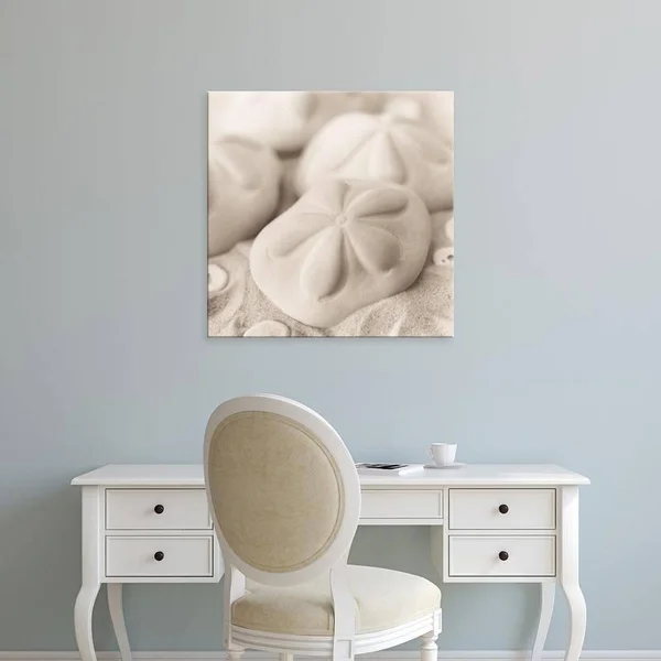 Easy Art Prints Alan Blaustein's 'La Mer 4' Premium Canvas Art - 16 x 16 - Brazilian Barnwood Frame