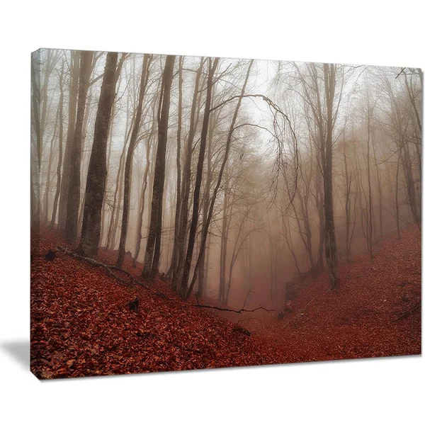 Design Art PT9809-40-30 Red Leaves in Foggy Fall Forest Landscape Photo Canvas Print, Red, 40x30x22