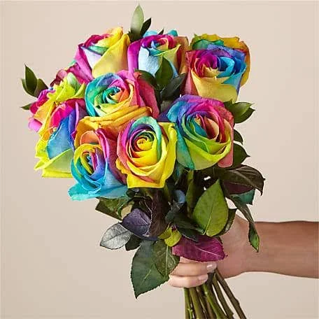 FTD Flower Delivery, Rainbow Rose Bouquet 12 Stem No Vase, Send Flowers for Birthdays and Graduation at FTD.com, Fast and Sam