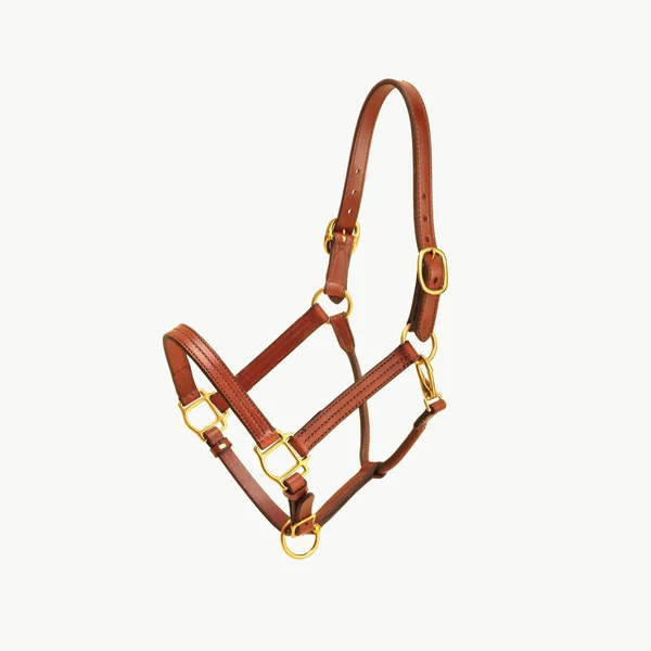 Tory Leather Triple Stitched Halter - Snap & Brass Hardware - Black