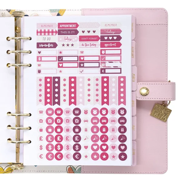 Carpe Diem A5 Planner-Ballerina Pink
