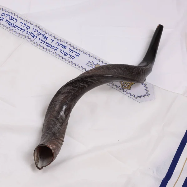 20x22-22x22 Yemenite Kudu Shofar - Natural