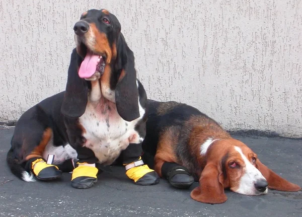 Muttluks All-Weather Dog Boots - Black - Large