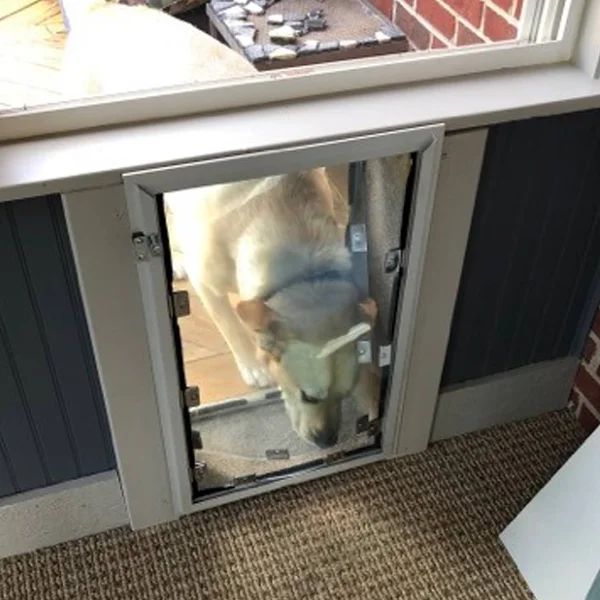 Hale Pet Door for Walls - Extra Large Plus White Single Flap