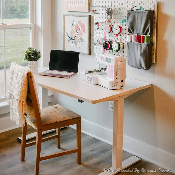 FlexiSpot EC1 Electric White Standing Desk Adjustable Height Desk - 48 x 30 Inches Whole Piece Board Sit Stand Desk Home Office W
