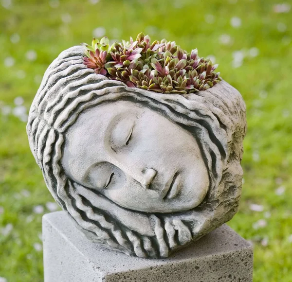 Campania International Sleeping Maiden Natural Planter