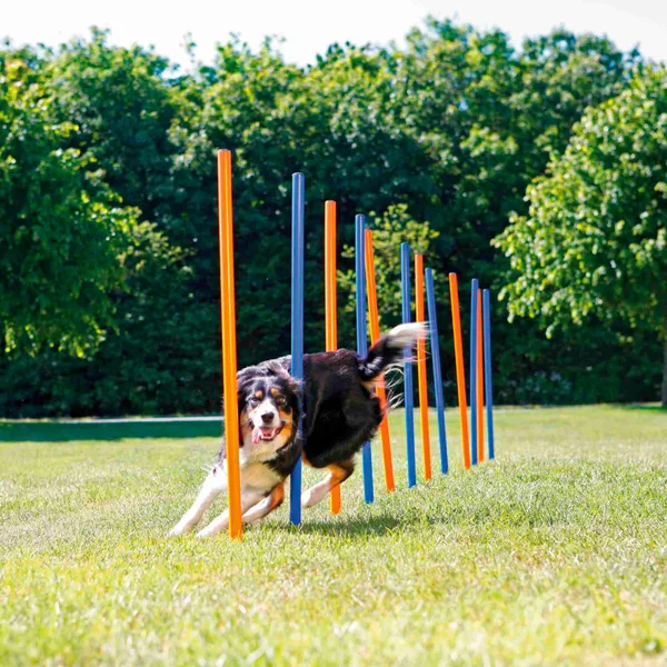 Agility Slalom Masts - 115Xø 3 cm Trixie