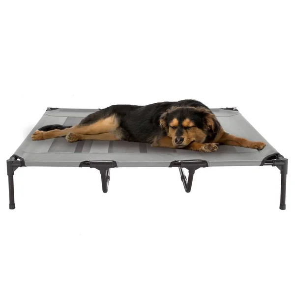 Pet Pal Gray Rectangular Bed (FOR Large) Rubber, 532169MPL
