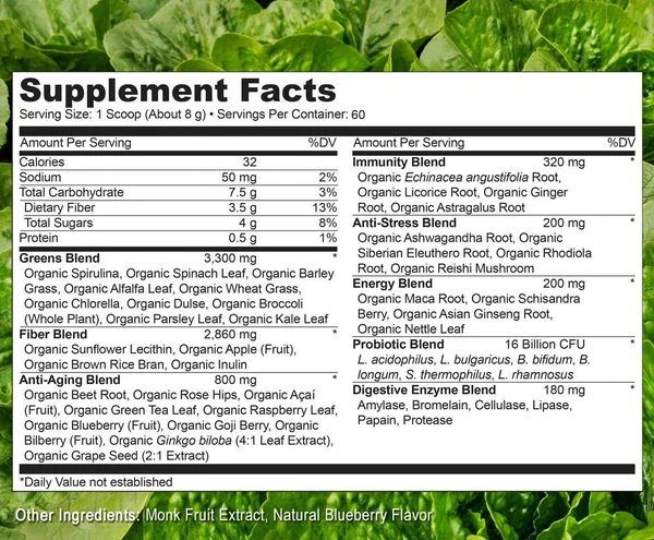 NATURELO Raw Greens Whole Food Powder Wild Berry Flavor - 60 Servings 480 G
