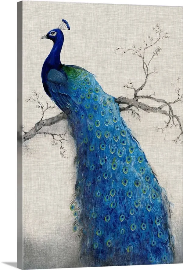 Peacock Blue II, Canvas Wall Art, 40x60, Great Big Canvas