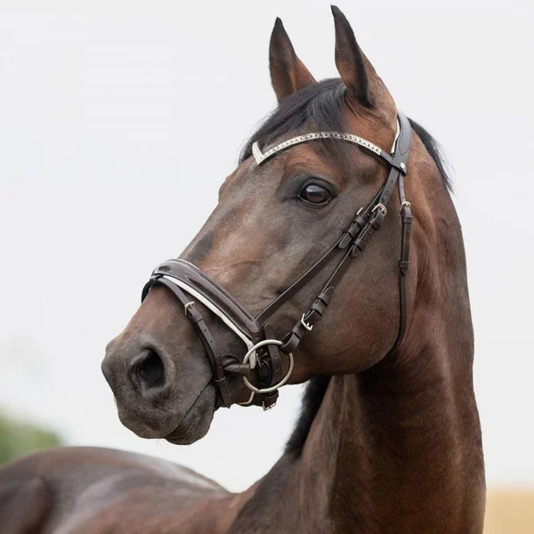 Horze Grayson Snaffle Bridle Pony - Dark Brown