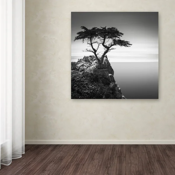 Trademark Global Dave MacVicar 'The Lone Cypress' Canvas Art