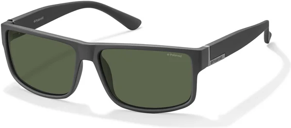 Polaroid Core PLD 2030 /S - Sunglasses