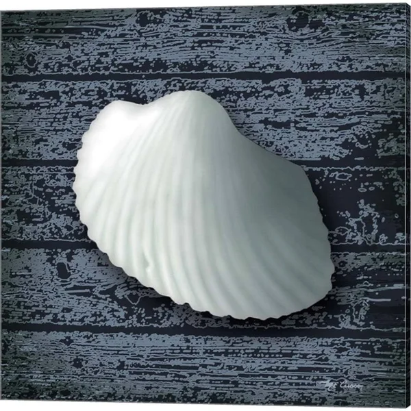 Great Art Now Seashore Shells Navy by Marie-Elaine Cusson 3 Piece Canvas Art Set Each 14W x 14H, Size: 14 x 14, White